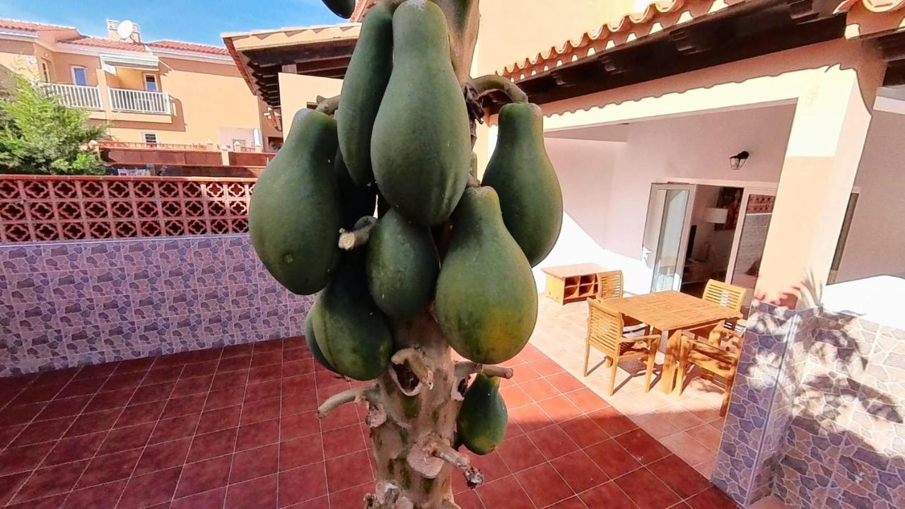 La Casa De La Papaya, By Comfortable Luxury Corralejo Zewnętrze zdjęcie